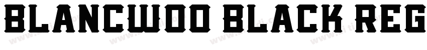 BlancW00 Black Regul字体转换